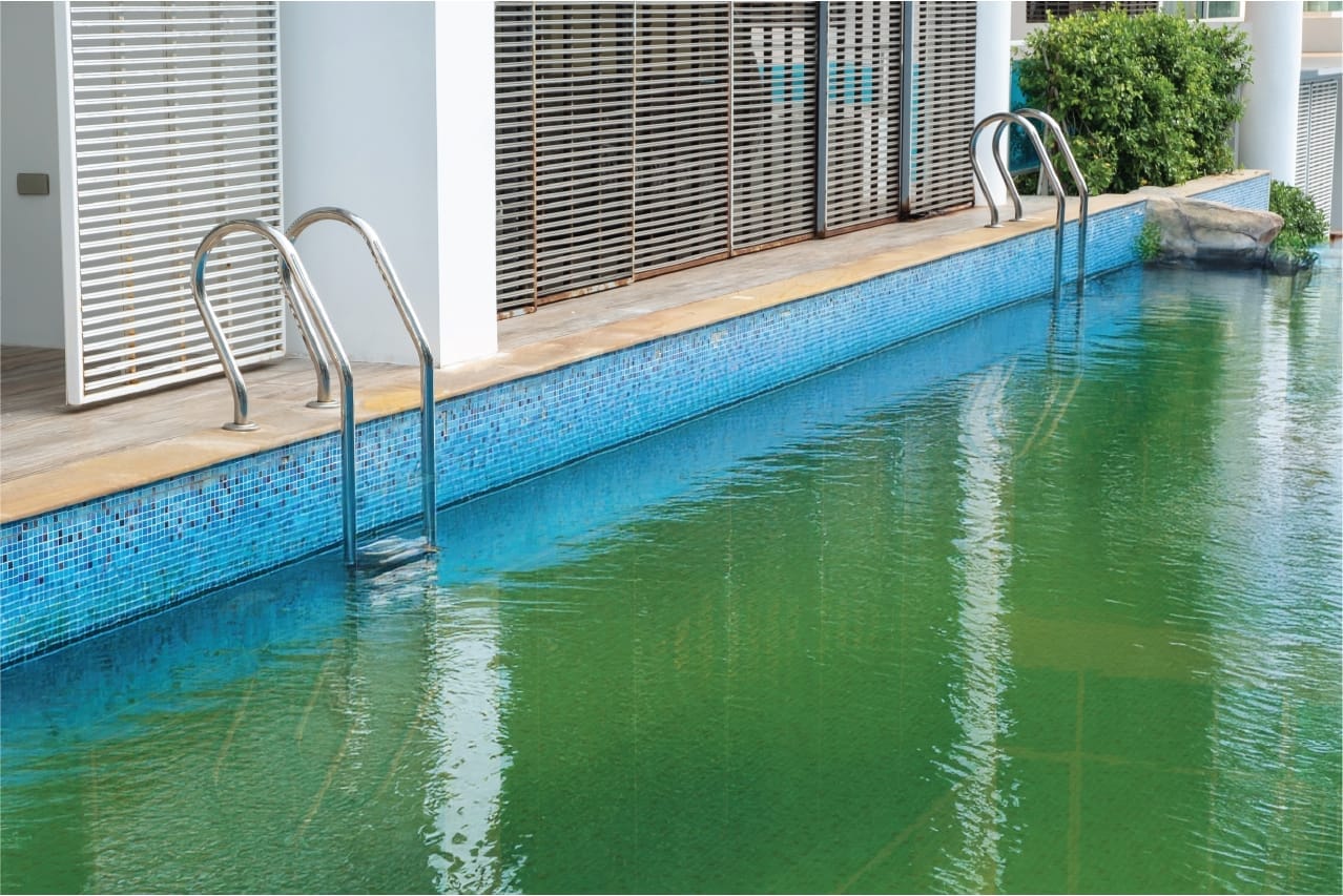 Tratare apă verde Kloer